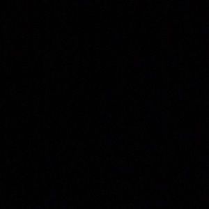 Meet your Posher, Bianca